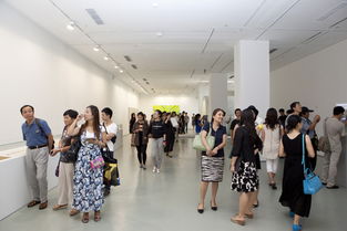 第十二屆全國美展實(shí)驗(yàn)藝術(shù)展區(qū)在北京開幕 推動文化藝術(shù)交流新篇章